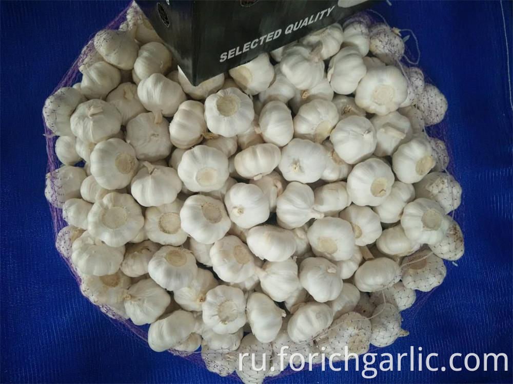 Pure White Garlic